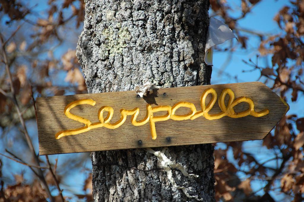 Agriturismo Podere La Serpolla Villa Tavernelle  Exterior foto